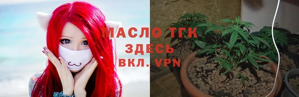 молекула духа Арсеньев