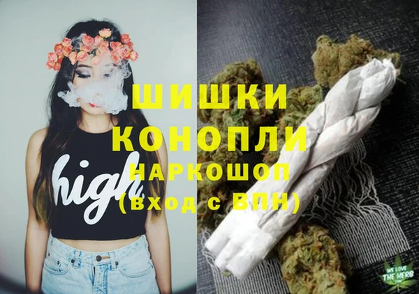 молекула духа Арсеньев