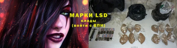 молекула духа Арсеньев