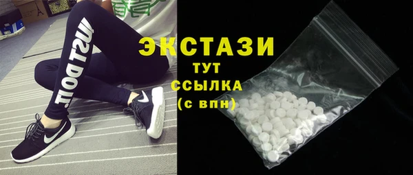 молекула духа Арсеньев