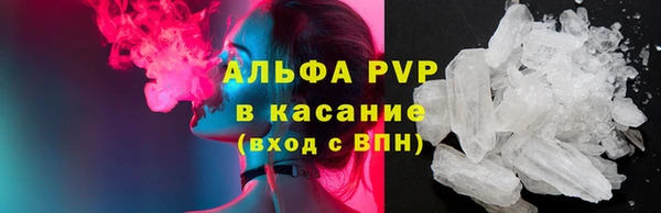 молекула духа Арсеньев