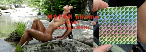 молекула духа Арсеньев