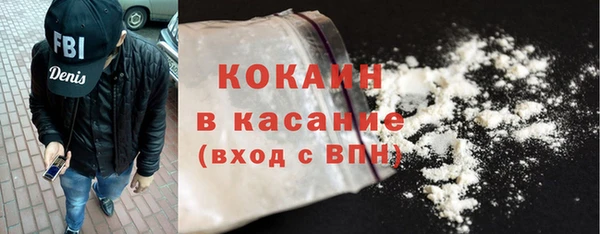 молекула духа Арсеньев